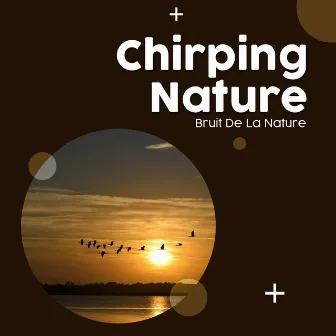 Chirping Nature by Bruit De La Nature