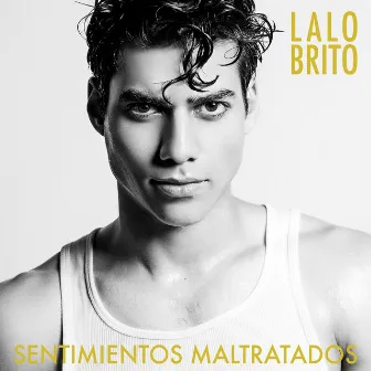 Sentimientos Maltratados by Lalo Brito