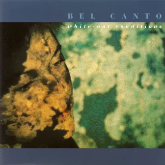 White Out Conditions by bel canto