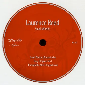 Small Worlds by Laurence Reed