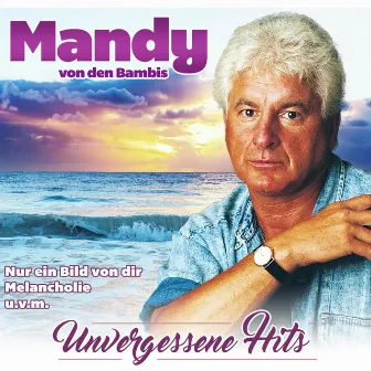 Unvergessene Hits by Mandy von den Bambis