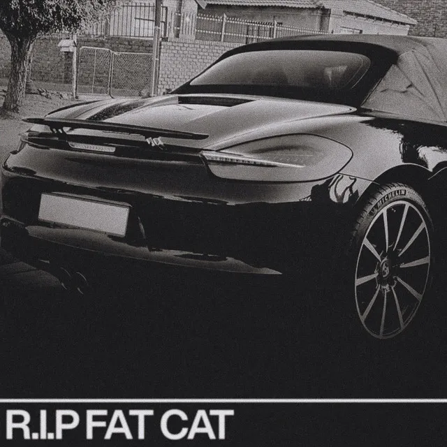 R.I.P. FAT CAT