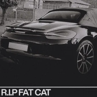 R.I.P. FAT CAT by Thato Saul