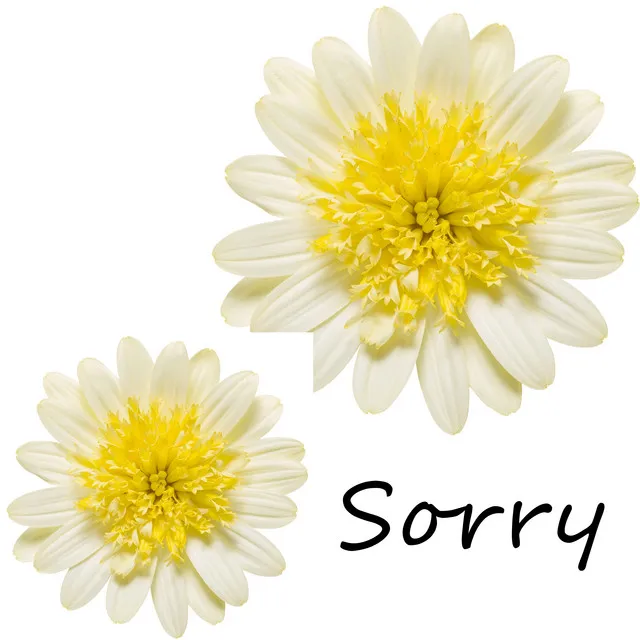 Sorry