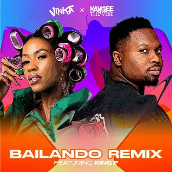 Bailando (Kaygee The Vibe Remix) by Kaygee The Vibe