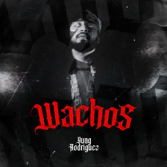 Wachos by Yung Rodríguez