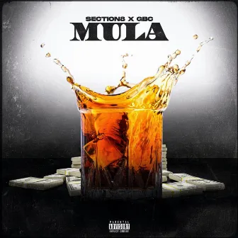 Mula by Section 8