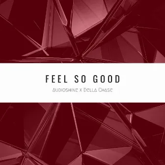 Feel so Good by Audioshine