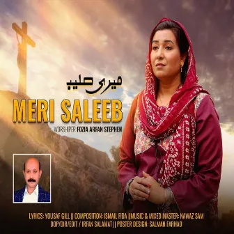 Meri Saleeb by 