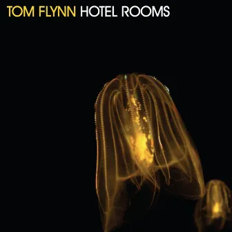 Hotel Rooms EP by Tom Flynn