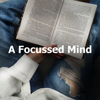 A Focussed Mind by Focus 100