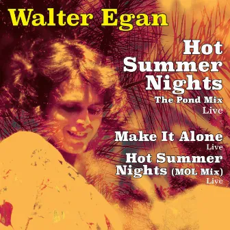 Hot Summer Nights (Redux Remaster Live) by Walter Egan