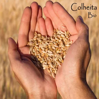 Colheita by Bio