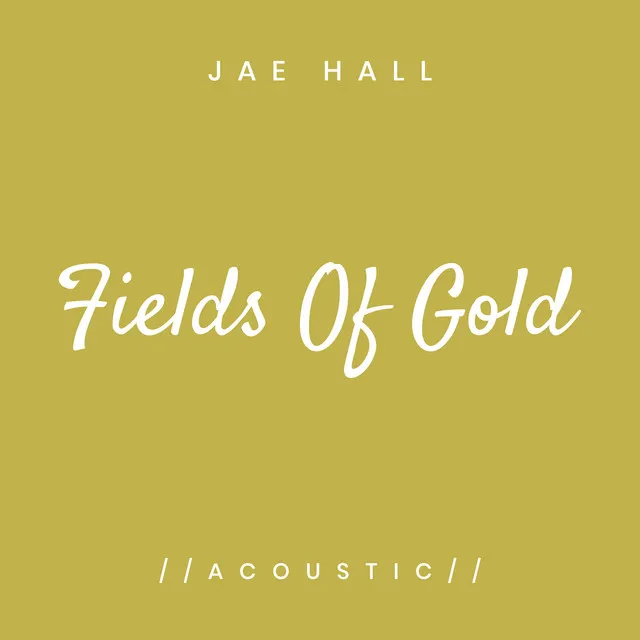 Fields of Gold - Acoustic