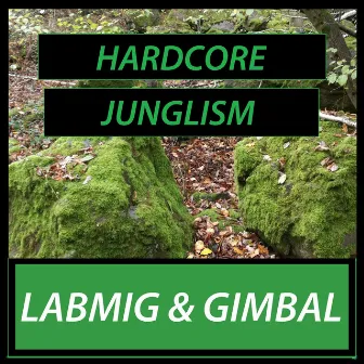 Hardcore Junglism by Labmig