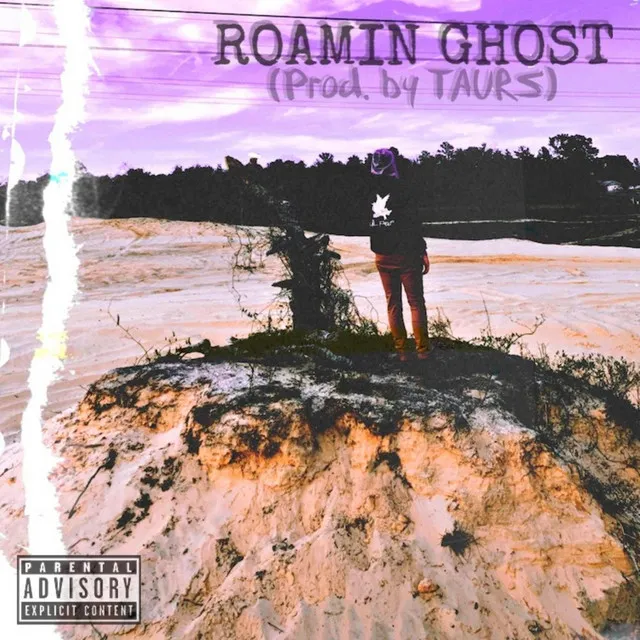 Roamin Ghost