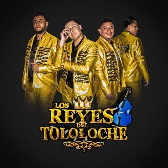 Amor Igual by Los Reyes Del Tololoche