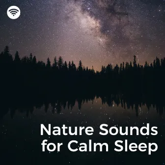 Nature Sounds for Calm Sleep by Naturgeräusche