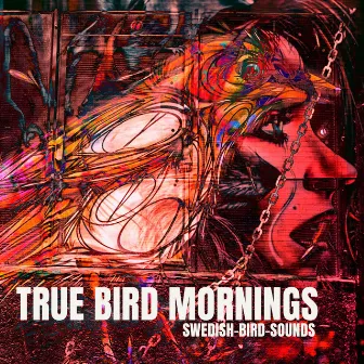 True Bird Mornings by Swedish-Bird-Sounds