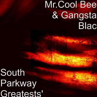 South Parkway Greatests by Gangsta Blac