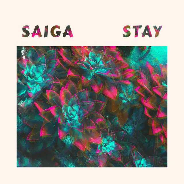 Stay