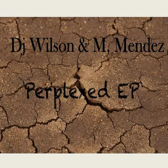 Perplexed EP by Dj Wilson