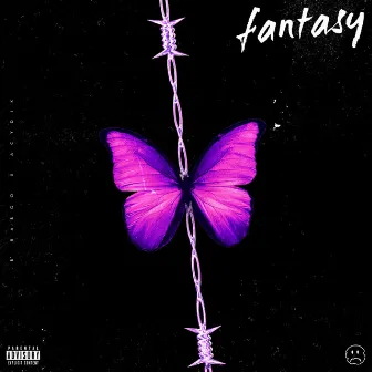 fantasy by B Baboo