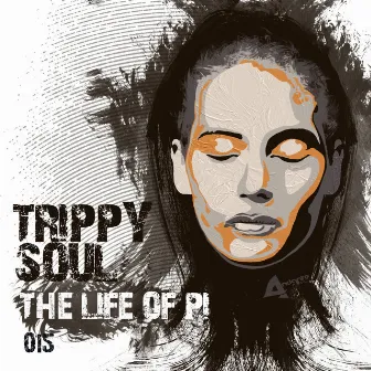 The Life of Pi by Trippy Soul