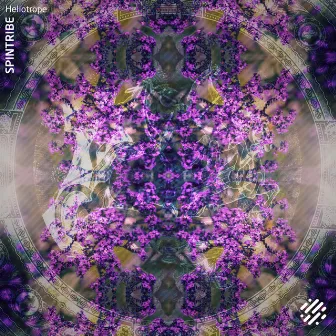 Heliotrope by Spintribe