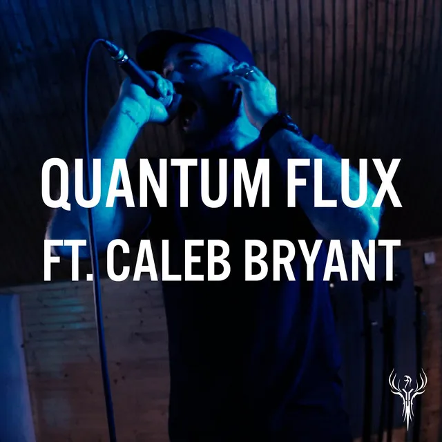 Quantum Flux