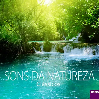 Sons da Natureza Clássicos by Música De Relaxamento