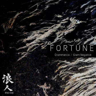 Fortune by Fortune