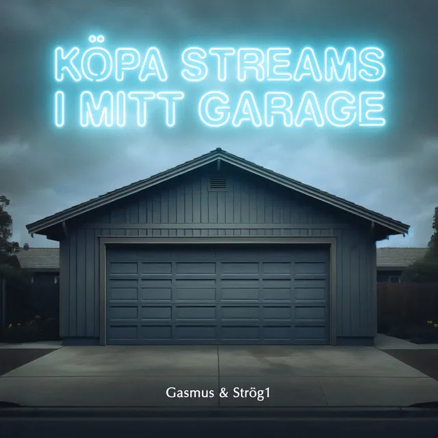 KÖPA STREAMS I MITT GARAGE