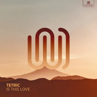 Is This Love by Tetric