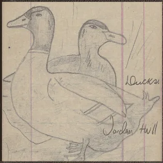 Ducks by Jordan Hull