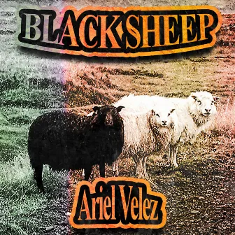 Black Sheep by Ariel Velez