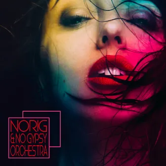 Norig & No Gypsy Orchestra by Norig