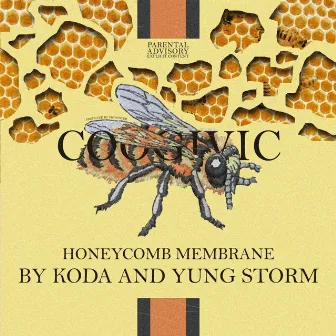 Honeycomb Membrane by Koda