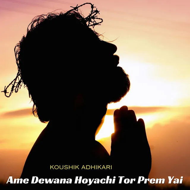 Ame Dewana Hoyachi Tor Prem Yai