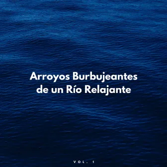 Arroyos Burbujeantes De Un Río Relajante Vol. 1 by Los chicos del spa