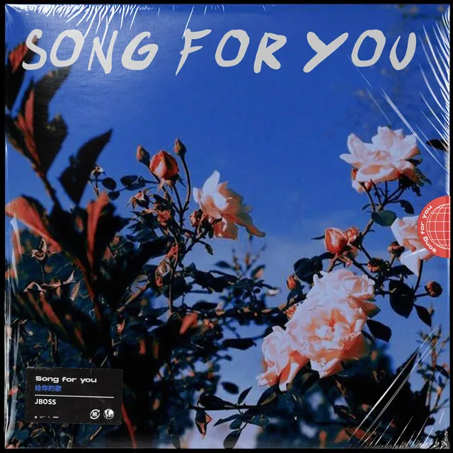 Song for You