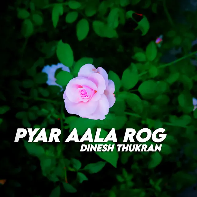 Pyar Aala Rog