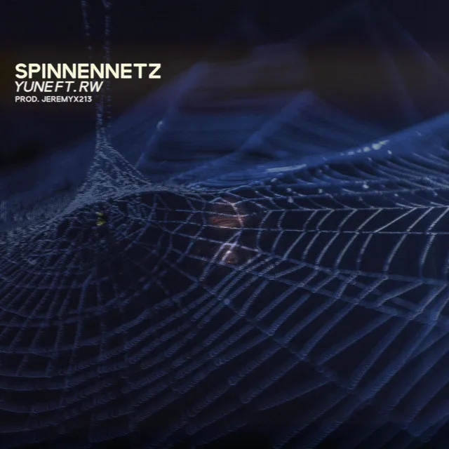 Spinnennetz