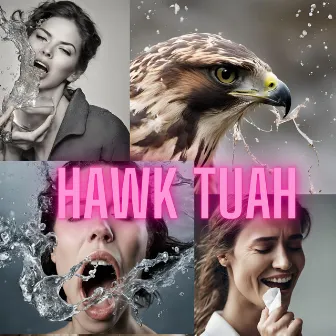 Hawk Tuah Girl by Unknown Artist