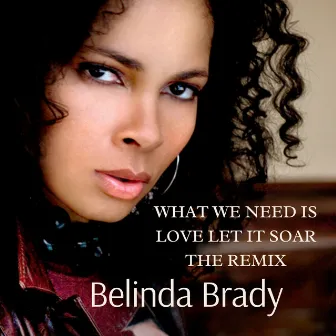 What We Need Is Love Let It Soar (The Remix) by Belinda Brady