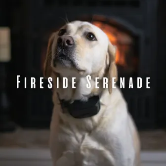 Fireside Serenade: Chill Sounds for a Calm Doggy Retreat by Flamespad Nature Fire Sounds