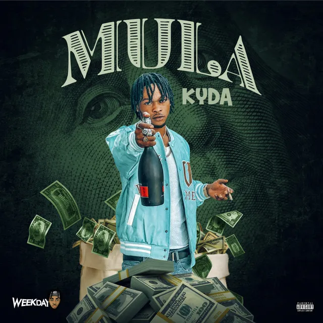 Mula