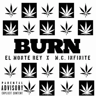 Burn by M.C. Infinite