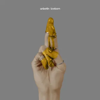 Lowborn by Anberlin