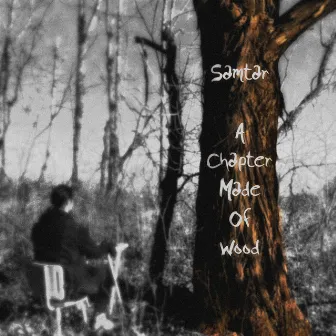 A Chapter Made Of Wood by Samtar